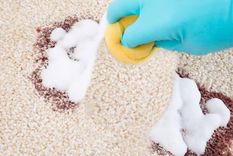 Elimina manchas, malos olores y polvo de la alfombra del hogar. Foto: Shutterstock