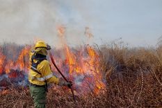 Foto: Noticias Argentinas Foto: Noticias Argentinas