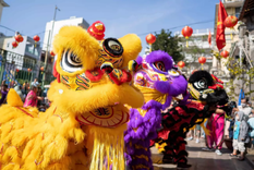 cuando arranca el ano nuevo chino y que actividades habra en buenos aires