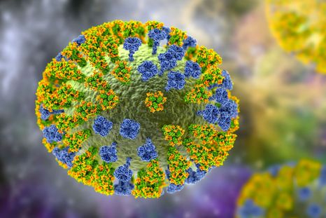 Una medida importante contra la gripe K es darse la vacuna antigripal. Una medida importante contra la gripe K es darse la vacuna antigripal.