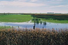 Melincué combina naturaleza, historia y entretenimiento en uno de los humedales más importantes de Santa Fe.