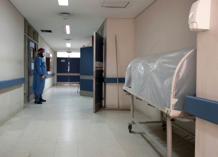 Cada vez hay más médicos argentinos trabajando en Chile Foto: Télam