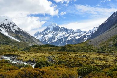 MDZol | Monte Cook, Nueva Zelanda