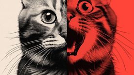 Cómo las imágenes absurdas creadas con IA están cambiando a las redes sociales