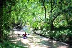 El Parque Municipal Recreativo y Turístico Arroyo San Carlos es un espacio de 7 hectáreas atravesado por este cauce natural