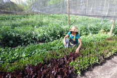 Milei avanza en el cierre Instituto de Agricultura Familiar, Campesina e Indígena. Foto: ALF PONCE MERCADO / MDZ