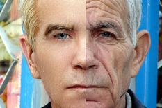 El experimento ha funcionado en ratones. Foto: LopezDoriga.