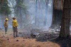 alberto viaja este sabado a recorrer las zonas incendiadas de la patagonia