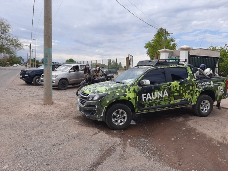 Gentileza prensa Mendoza (Imagen Ilustrativa)