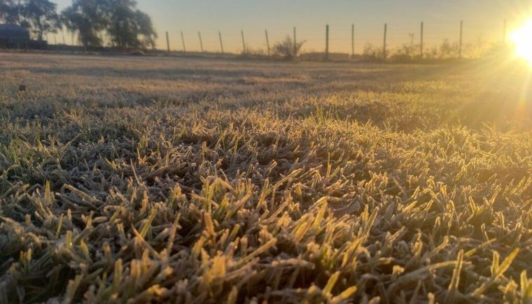 Calor futbolero y frío polar: el agro sostiene el ingreso de dólares con exportaciones récord pero las terminales enfrentan la amenaza de paro.