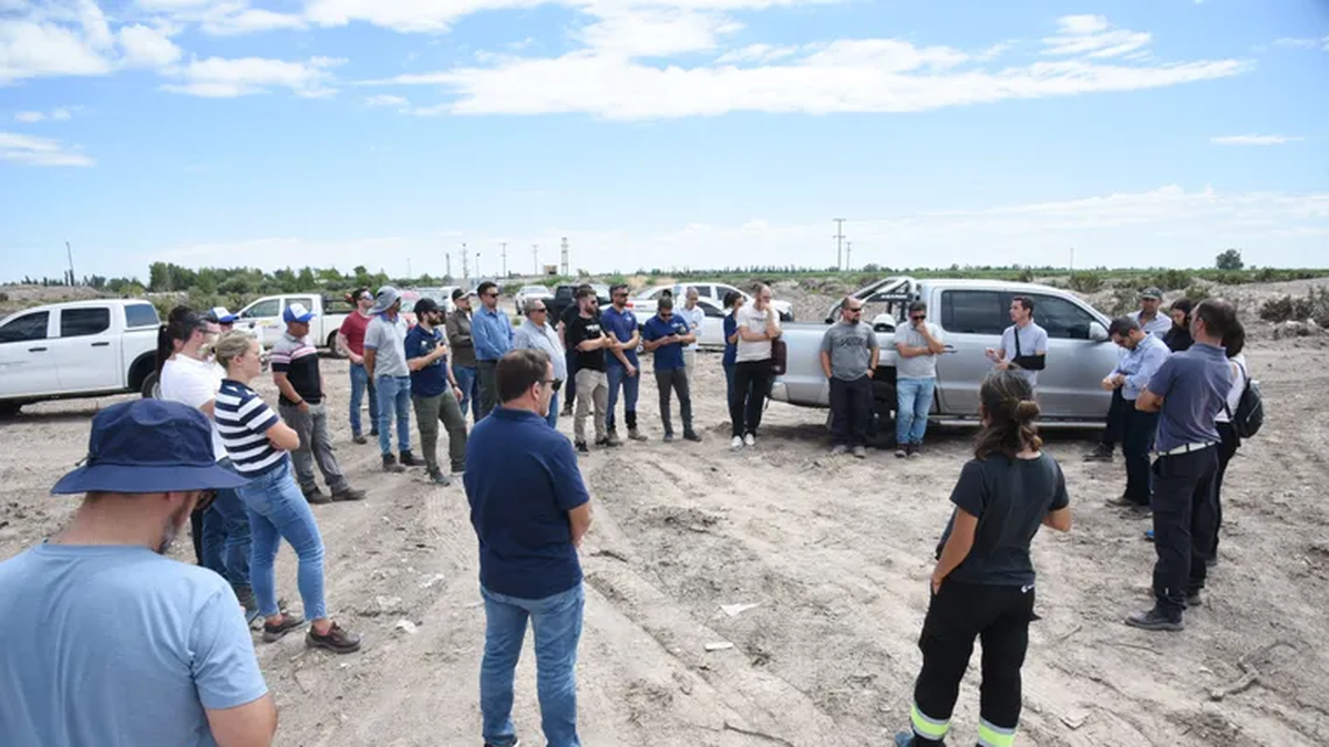 Cuáles son las 5 empresas que compiten para construir el Parque Solar de Guaymallén