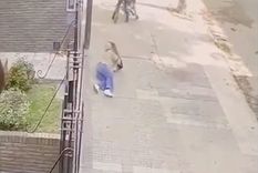 Tras el robo, la joven quedó tendida en el suelo