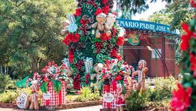 Todo el pueblo de viste de Navidad Foto: @navidadcapioviok