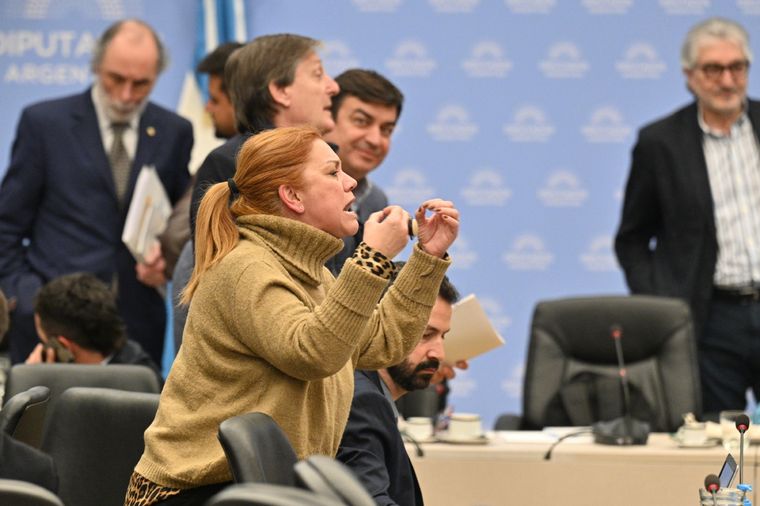 Banfi Las amenazas contra Banfi llegaron de seguidores de La Libertad Avanza. Crédito: Télam Foto: Télam