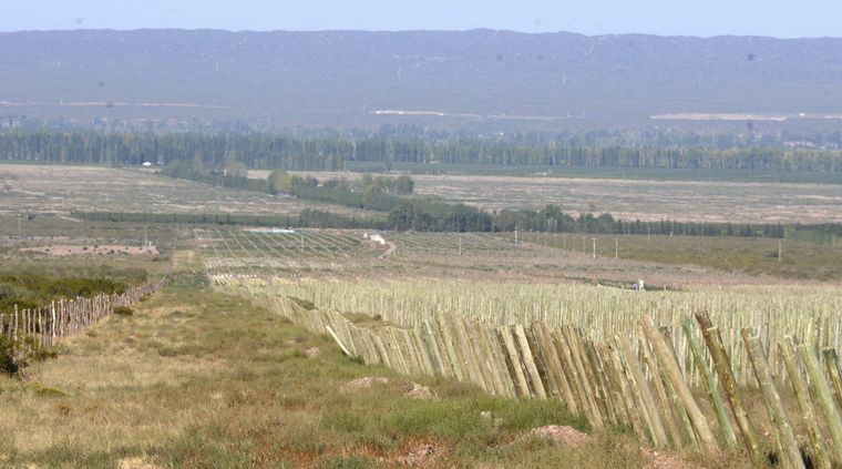 Foto: Alf Ponce / MDZ