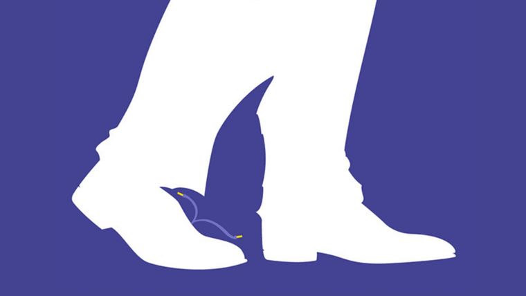 Test de personalidad Foto: Lizali Blom