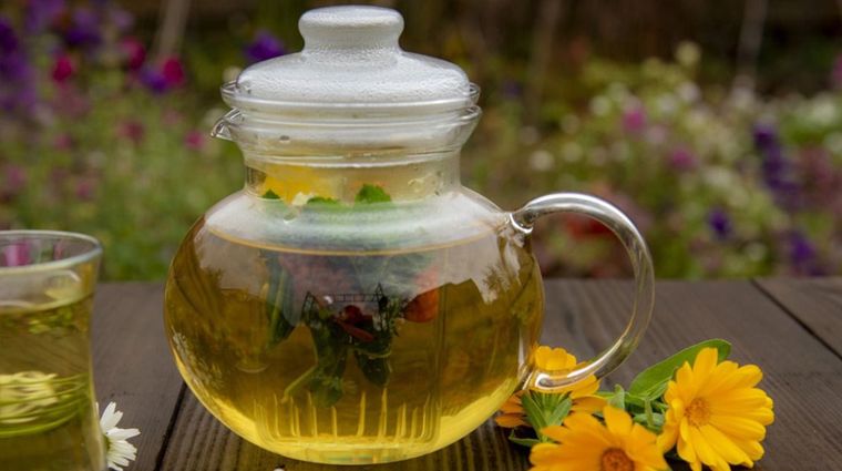 Foto: Fuente: Infusionismo