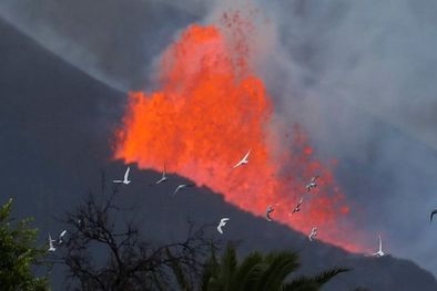 MDZol | Estudiar lo sucedido en La Palma puede ayudar a reaccionar en futuras erupciones, pero la ciencia no podrá detener estos fenómenos naturales. Foto: REUTERS