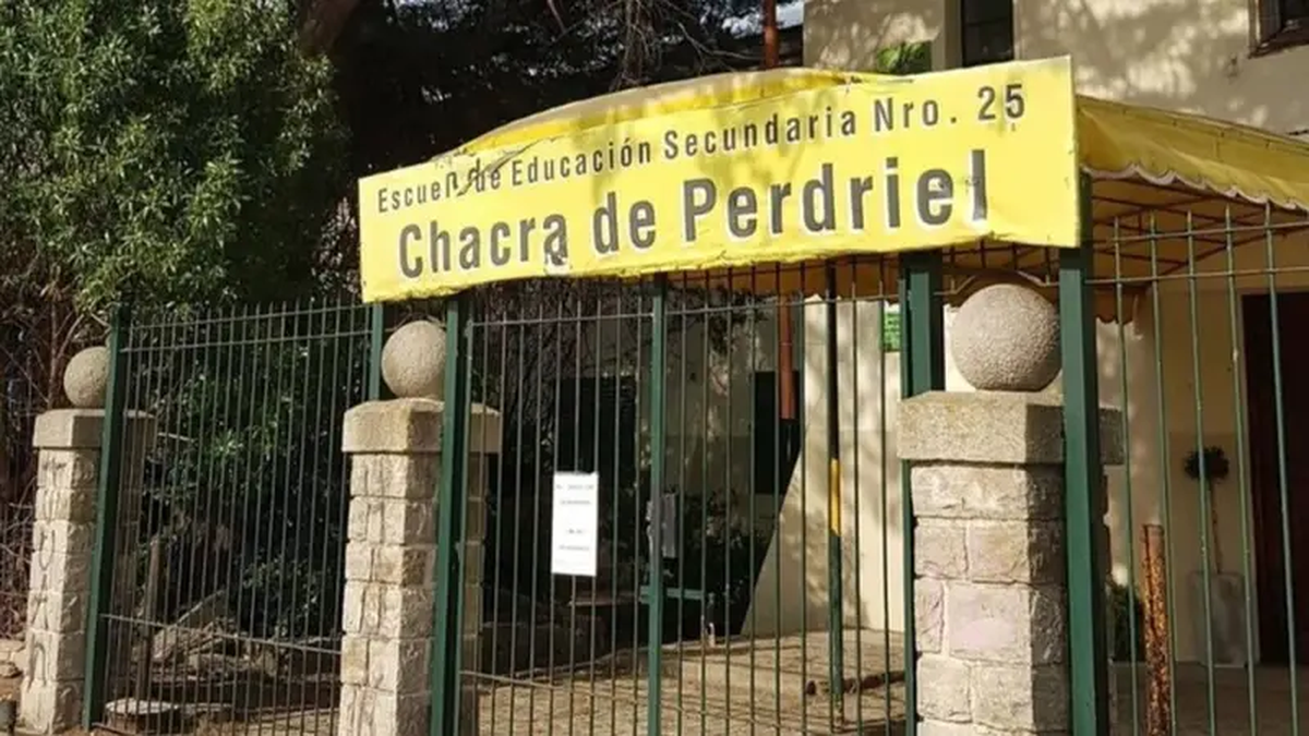 Mar del Plata: qué resolvió la escuela tras el incidente que intoxicó a 20 personas