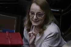 Ficha Limpia: el Senado la rechazó y el kirchnerismo festejó en el recinto. Foto: Juan Mateo Aberastain/MDZ