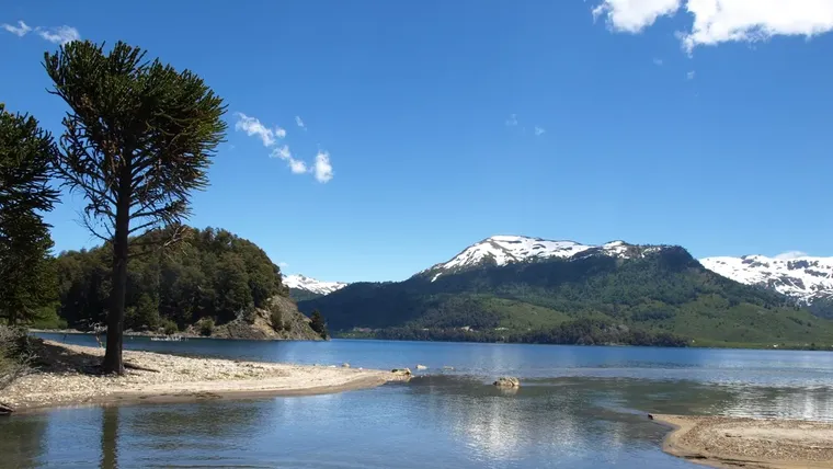 Villa Pehuenia-Moquehue es un pueblo de Neuquén donde la nieve cubre lagos, caminos y bosques de araucarias.
