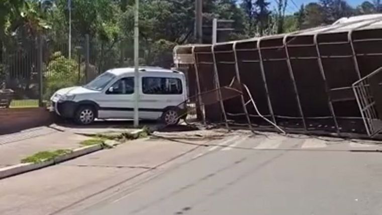 Según relataron testigos y damnificados, el chofer habría intentado maniobrar el camión que transportaba vacas para evitar una tragedia mayor.