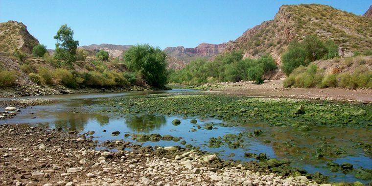 Foto: Laura Ballarini/Mediamza.com