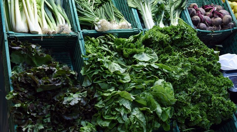 Por las heladas, los precios de las verduras registrarán un fuerte aumento Foto: ALF PONCE MERCADO / MDZ Por las heladas, los precios de las verduras registrarán un fuerte aumento Foto: ALF PONCE MERCADO / MDZ