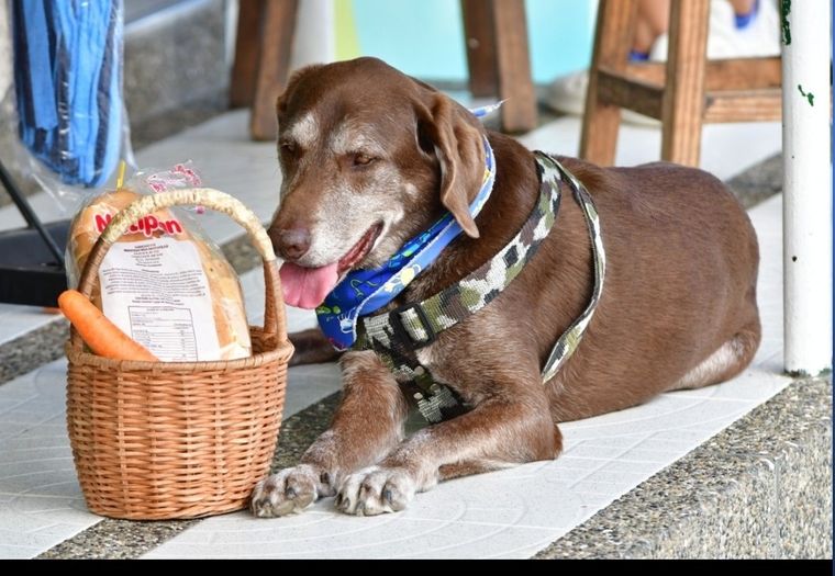 Eros fue víctima de la inseguridad. Foto: Foto: @ericayasmin4