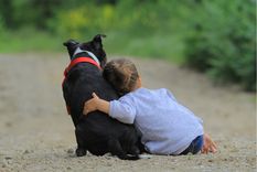 Perros y niños, el cuidado y disfrute mutuo. Conocé los detalles en la nota Foto: Shutterstock