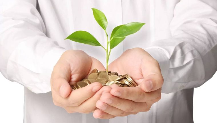 Las mejores plantas para atraer abundancia (Shutterstock).