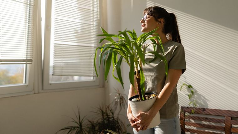 Esto fue lo que dijo la inteligencia artificial sobre plantas y solteros. Foto: Archivo