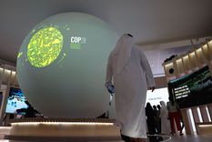 El equipo encargado de la organización de la cumbre no negó las acusaciones El equipo encargado de la organización de la cumbre no negó las acusaciones