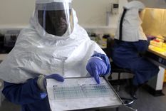 el bm destina 200 millones de dolares contra el ebola