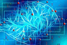 estudio: asombro ante la probable ubicacion fisica de la conciencia
