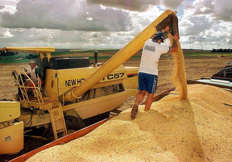 Con un conflicto en medio, la soja sube. Foto: NA