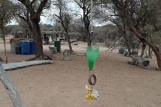 Ingenio El teléfono se pone en la botella, se tira de la piola y empiezan a sonar las notificaciones. Instagram: garciaortizmariana Ingenio El teléfono se pone en la botella, se tira de la piola y empiezan a sonar las notificaciones. Instagram: garciaortizmariana