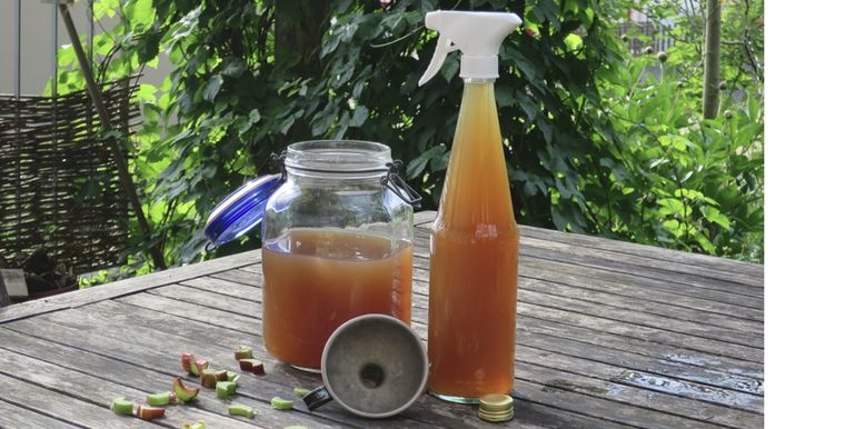 El agua de las lentejas aporta grandes nutrientes. Foto: Shutterstock