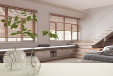 Plantas de interior que crecen en agua y decoran sin esfuerzo.&nbsp;
