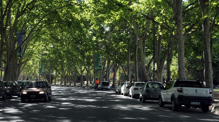 Foto: Alf Ponce / MDZ