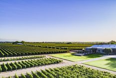 Una panorámica de Pulenta Estate.