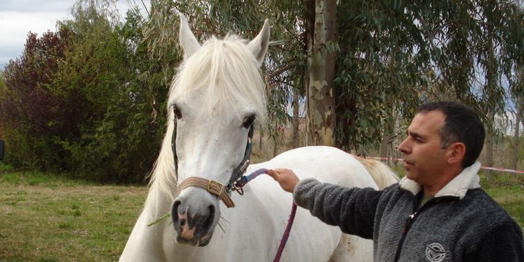 Las actividades tradicionales se mantienen vigentes en todo el Valle de Uco.