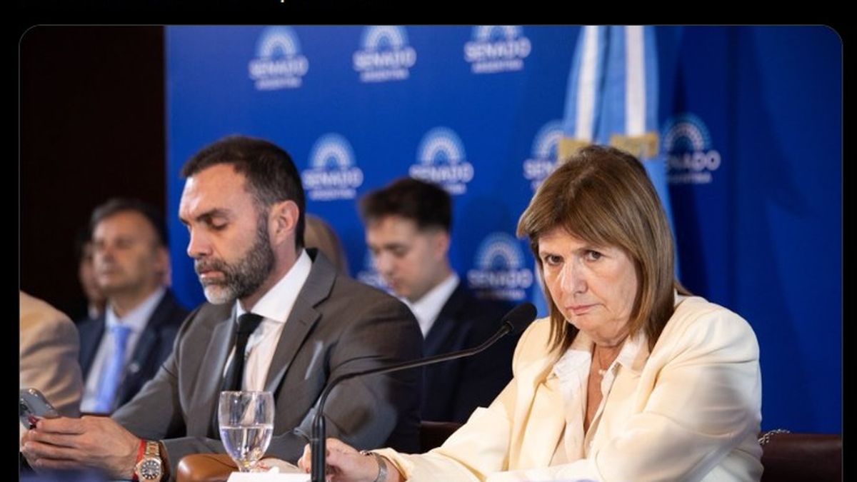 Patricia Bullrich golpeó la mesa en una semana crítica para el gobierno de Milei