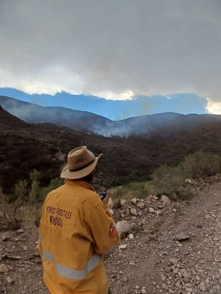 El incendio fue contenido Foto: Gobierno Mendoza