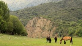 Bialet Massé es un pueblo de Punilla donde el río Cosquín y las sierras construyen una de las entradas más visibles al valle. Bialet Massé es un pueblo de Punilla donde el río Cosquín y las sierras construyen una de las entradas más visibles al valle.