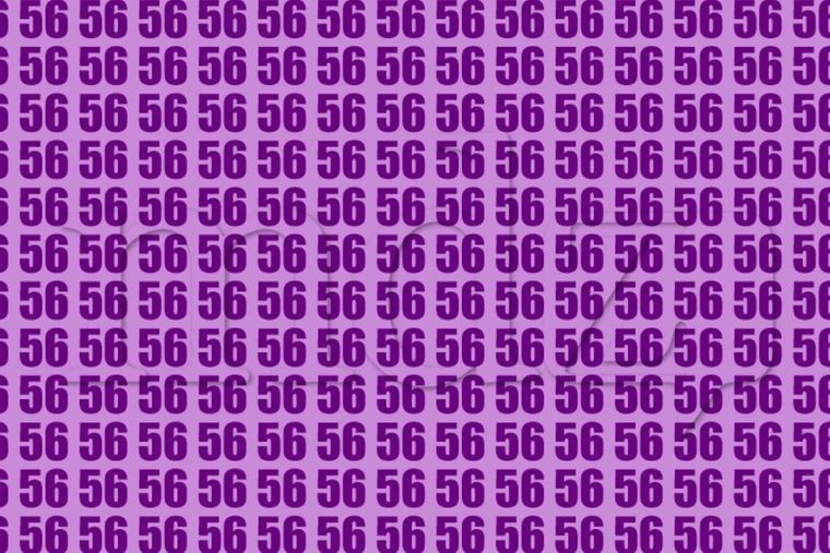 Acertijo visual Acertijo visual, Reto visual, Número Foto: MDZ Online