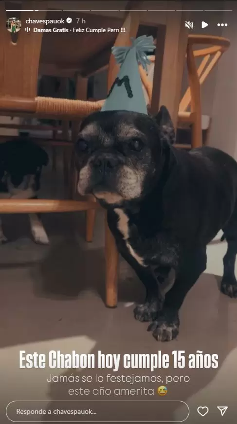 Moro, el perro de Chaves. Créditos: Instagram / chavespauok Moro, el perro de Chaves. Créditos: Instagram / chavespauok