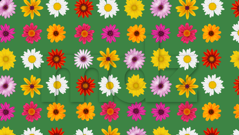 Estos ejercicios se presentan como una forma entretenida de mejorar la agilidad mental y disfrutar del tiempo libre Foto: Archivo MDZ