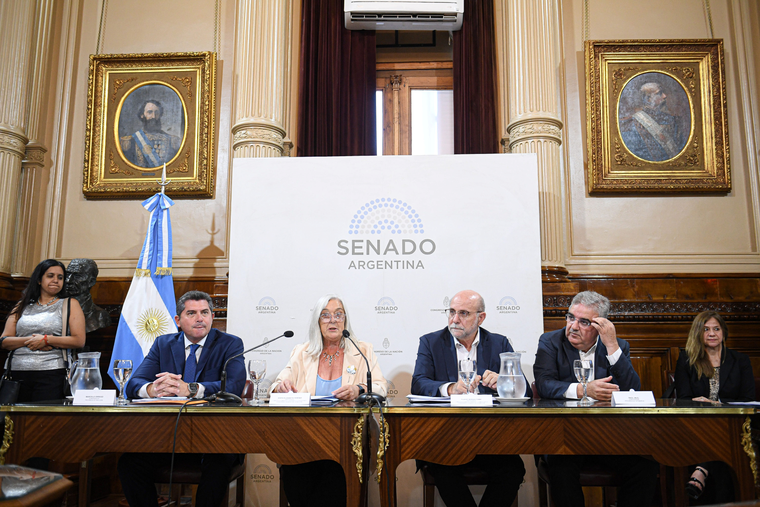 El Gobierno dictaminó la modificación de la Ley de Glaciares.&nbsp;
