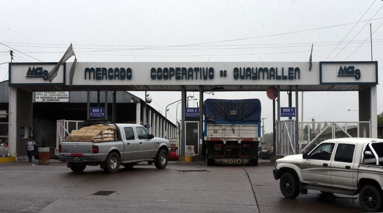 Foto: ALF PONCE / MDZ